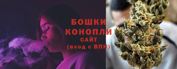 индика Гусь-Хрустальный