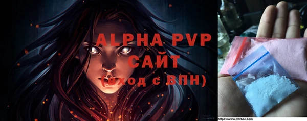 индика Гусь-Хрустальный