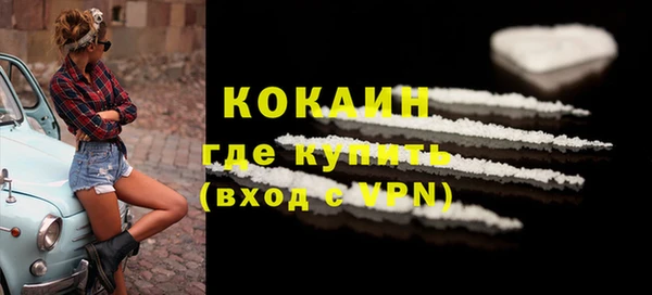 индика Гусь-Хрустальный