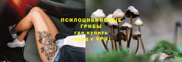 наркотики Гусиноозёрск
