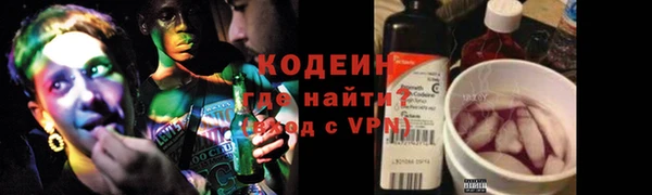 индика Гусь-Хрустальный