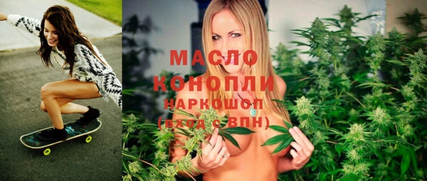 индика Гусь-Хрустальный