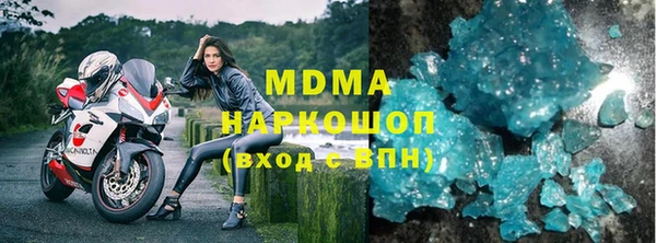 индика Гусь-Хрустальный