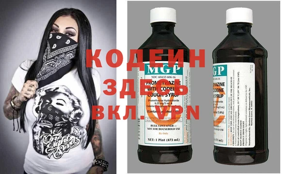 индика Гусь-Хрустальный
