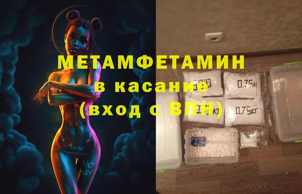 индика Гусь-Хрустальный