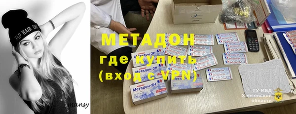 индика Гусь-Хрустальный